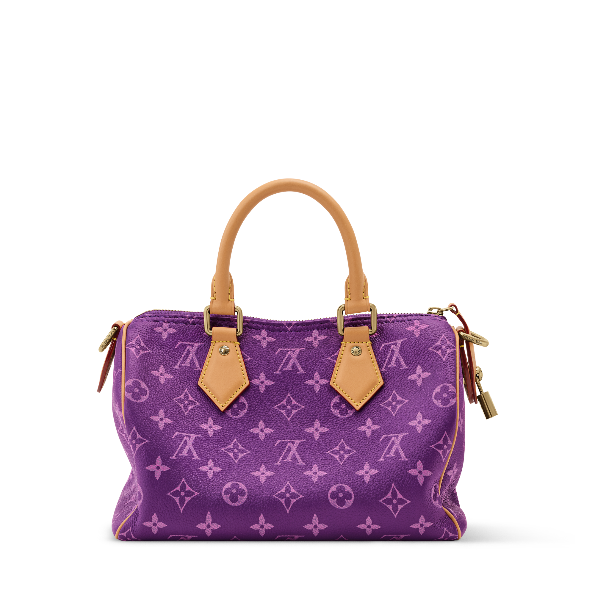 Speedy P9 Bandoulière 25 H40 - Leather Goods and Travel M28383